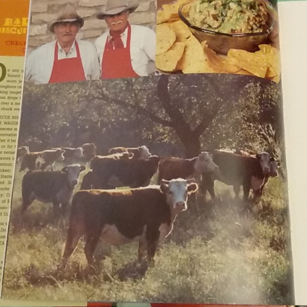 Barbecue Biscuits & Beans Cookbook - Picture 5 of 10